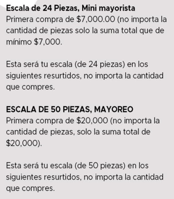 Minimayorista y Mayorista 2
