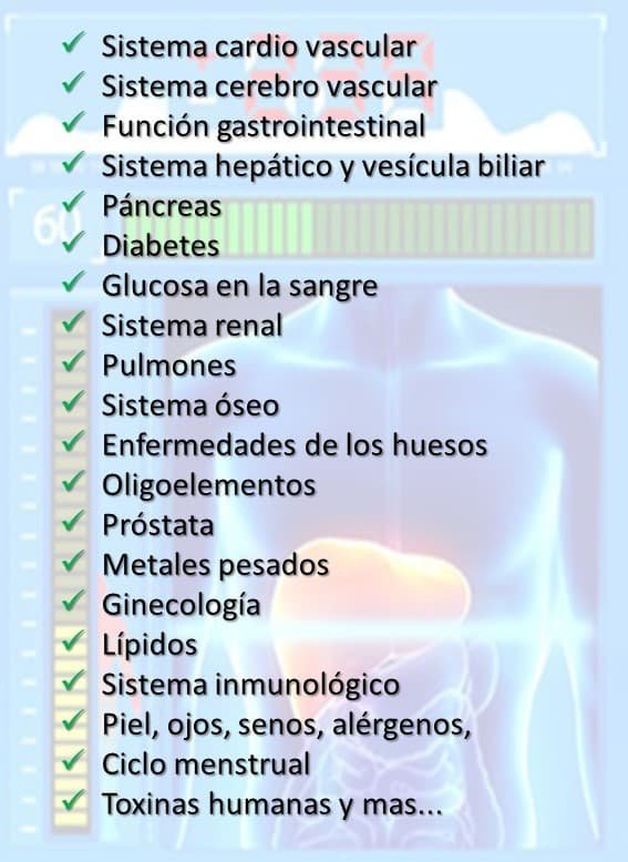 MAJ - Descripción servicios completos