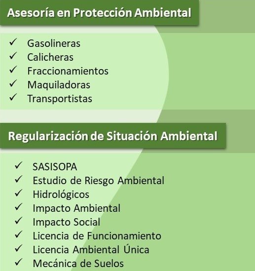 flayer asesoria min