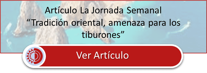 btn jornada marcos roldan min