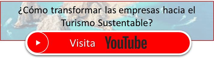 btn transformacion empresas youtube min